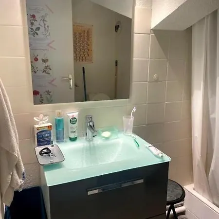 شقة Cosy Sous Les Toits En Plein Centre-ville كليرمونت-فيراند