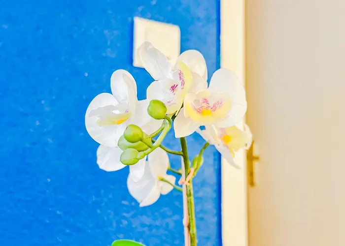 Apartman Cosy Sous Les Toits En Plein Centre-ville